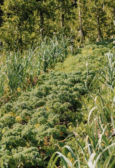 A matter close to our hearts A matter close to our hearts