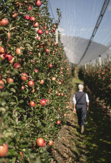 Autumn vibes! Autumn vibes!