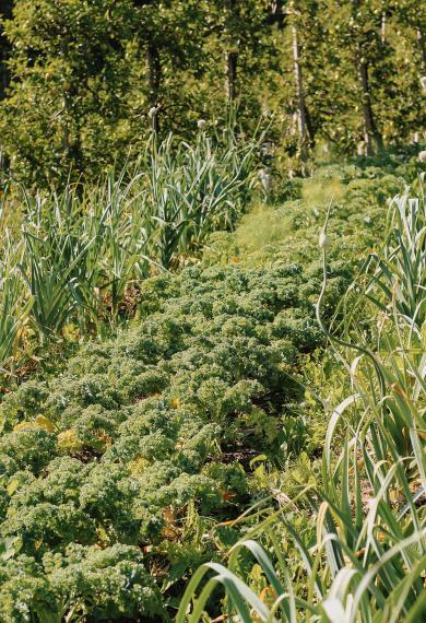 Unsere Herzensangelegenheit