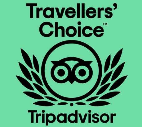 Travellers' Choice Award
