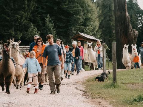 Bereit für Abenteuer & Adrenalin? Spaß garantiert! Bereit für Abenteuer & Adrenalin? Spaß garantiert!