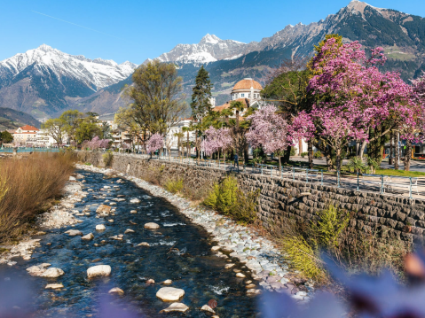 Höchste Qualität, versprochen! Höchste Qualität, versprochen!