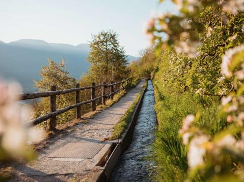 Jogging is a group sport at Jagdhof Jogging is a group sport at Jagdhof