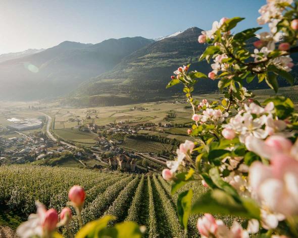 "Grias Di" im wohl genialsten Sporthotel in Suedtirol!