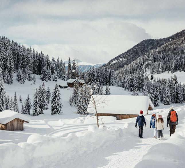 Il periodo migliore dell'anno!