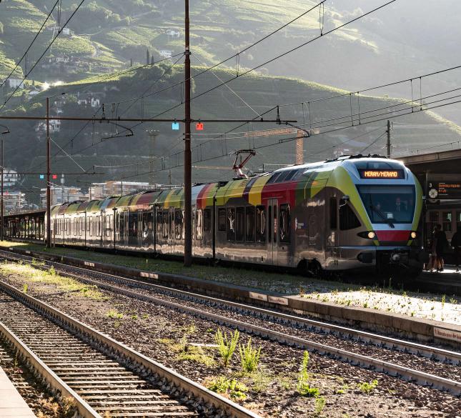 Nuovo: Alto Adige Guest Pass